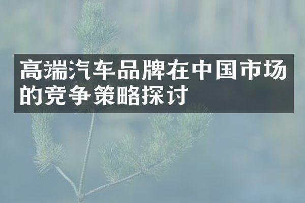 高端汽车品牌在中国市场的竞争策略探讨