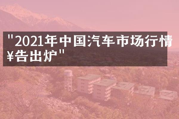 "2021年中国汽车市场行情报告出炉"