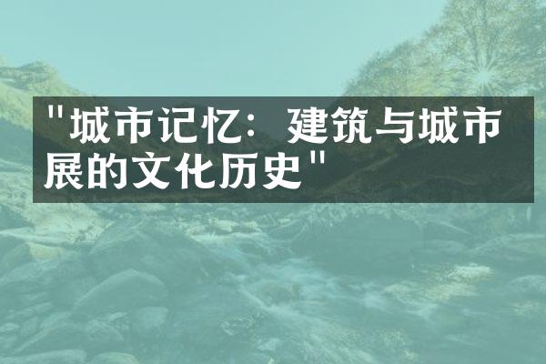 "城市记忆：建筑与城市发展的文化历史"