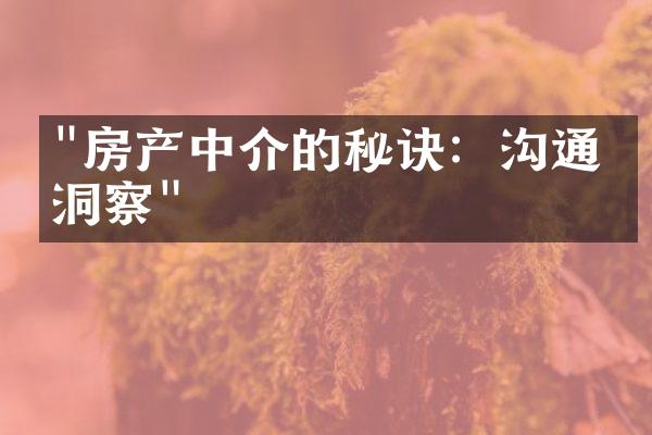 "房产中介的秘诀：沟通与洞察"