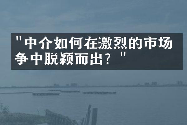 "中介如何在激烈的市场竞争中脱颖而出？"