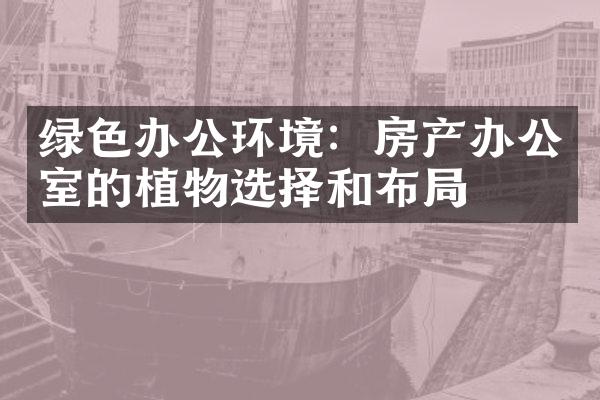 绿色办公环境：房产办公室的植物选择和布局