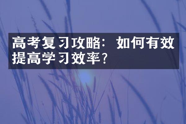 高考复习攻略：如何有效提高学习效率？