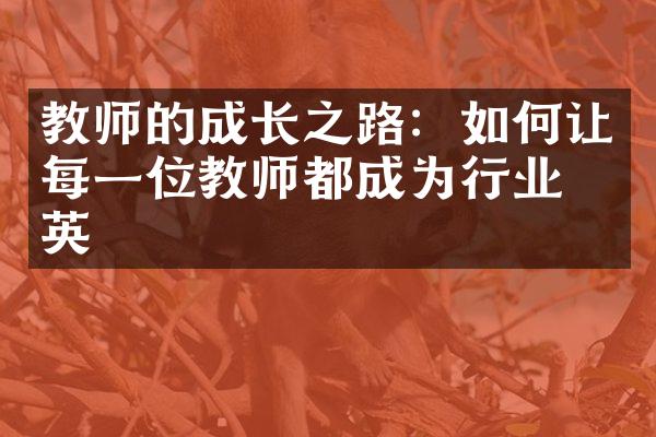 教师的成长之路：如何让每一位教师都成为行业精英