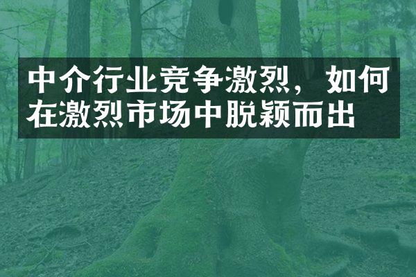 中介行业竞争激烈，如何在激烈市场中脱颖而出？