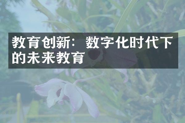 教育创新：数字化时代下的未来教育