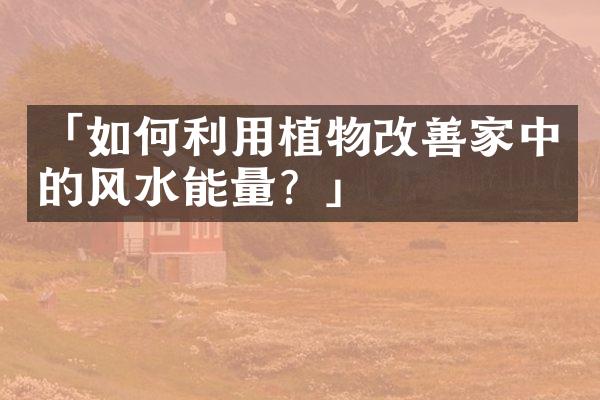 「如何利用植物改善家中的风水能量？」