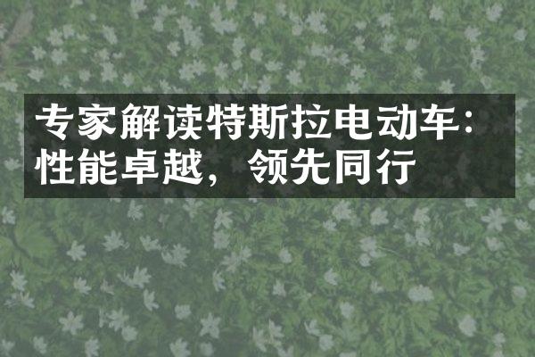 专家解读特斯拉电动车：性能卓越，领先同行