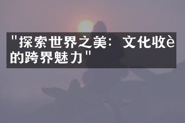 "探索世界之美：文化收藏的跨界魅力"