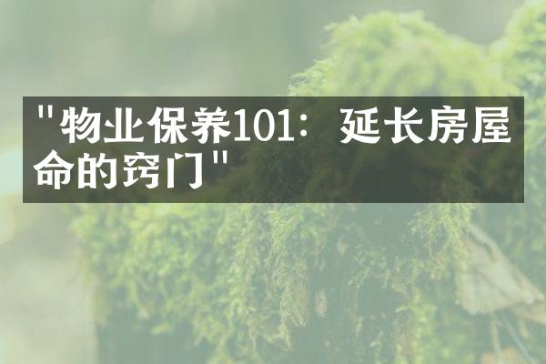 "物业保养101：延长房屋寿命的窍门"