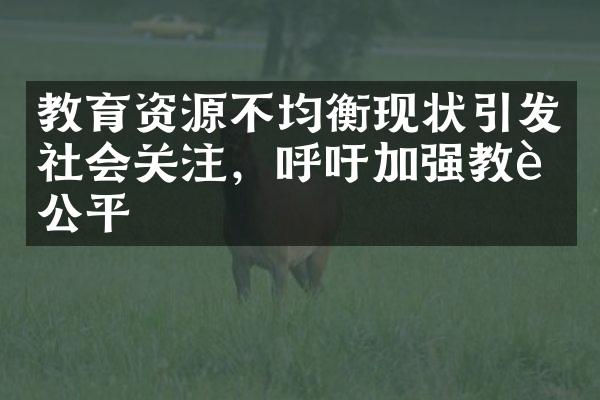 教育资源不均衡现状引发社会关注，呼吁加强教育公平