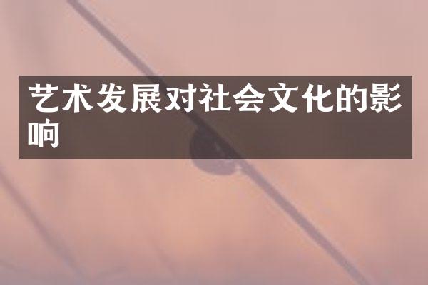 艺术发展对社会文化的影响