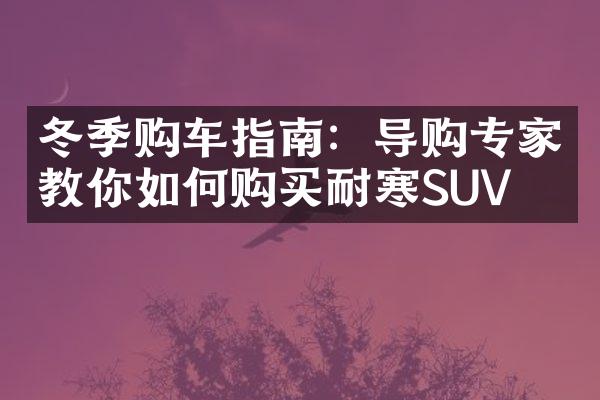 冬季购车指南：导购专家教你如何购买耐寒SUV