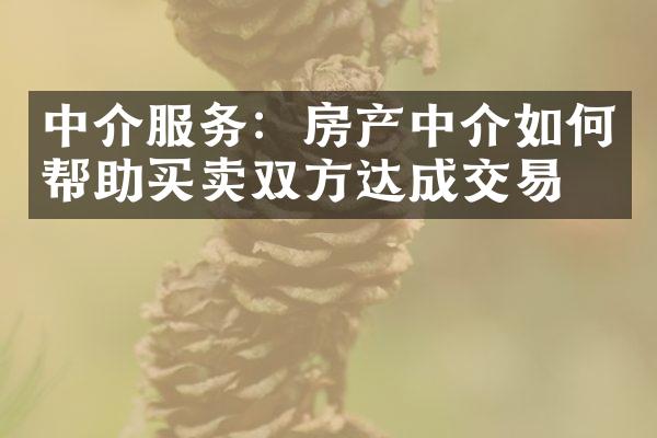 中介服务：房产中介如何帮助买卖双方达成交易？