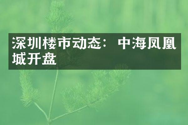 深圳楼市动态：中海凤凰城开盘