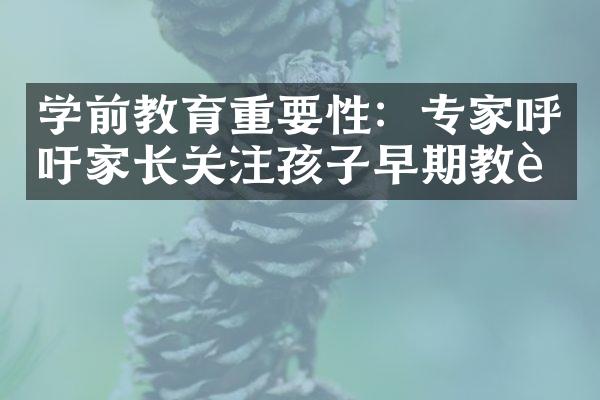 学前教育重要性：专家呼吁家长关注孩子早期教育