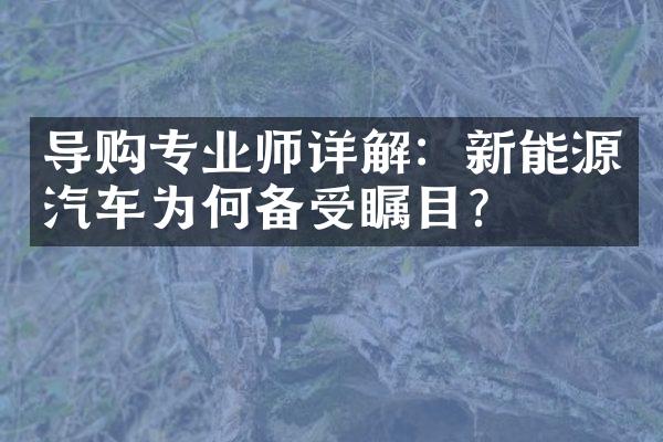 导购专业师详解：新能源汽车为何备受瞩目？