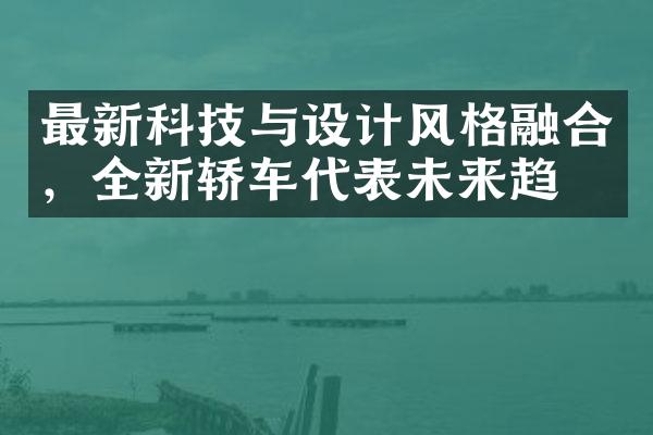 最新科技与设计风格融合，全新轿车代表未来趋势