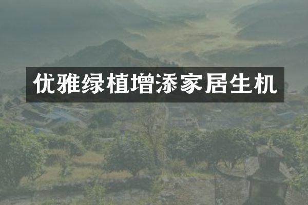 优雅绿植增添家居生机