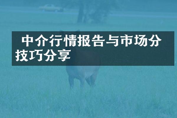  中介行情报告与市场分析技巧分享