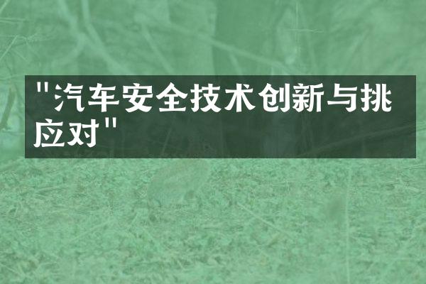 "汽车安全技术创新与挑战应对"