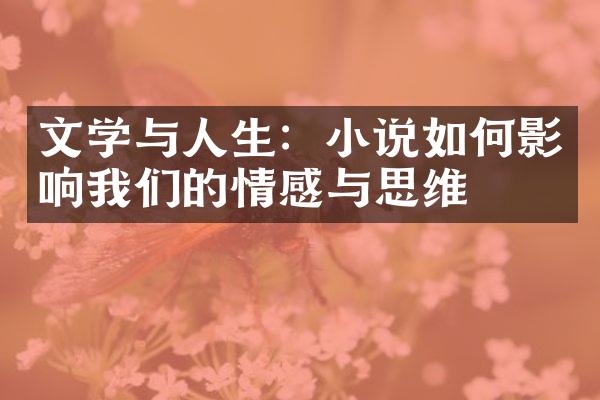 文学与人生：小说如何影响我们的情感与思维