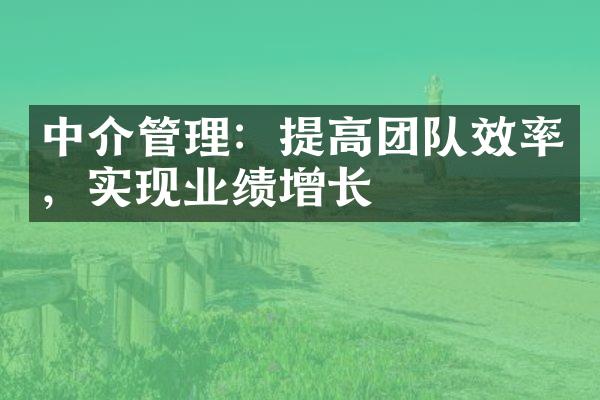 中介管理：提高团队效率，实现业绩增长