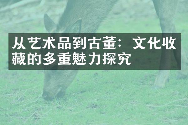 从艺术品到古董：文化收藏的多重魅力探究