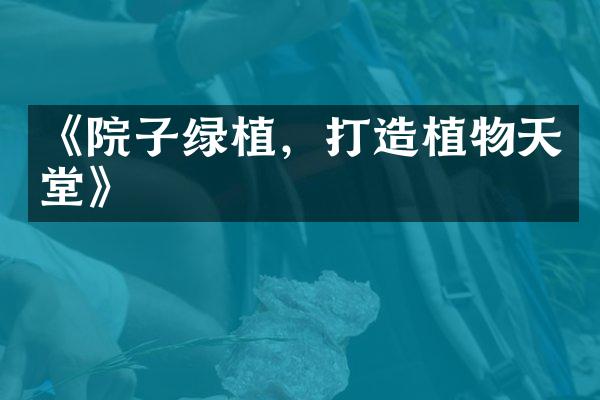 《院子绿植，打造植物天堂》