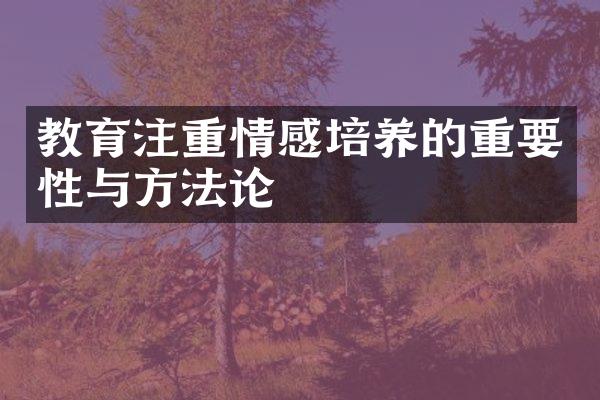 教育注重情感培养的重要性与方