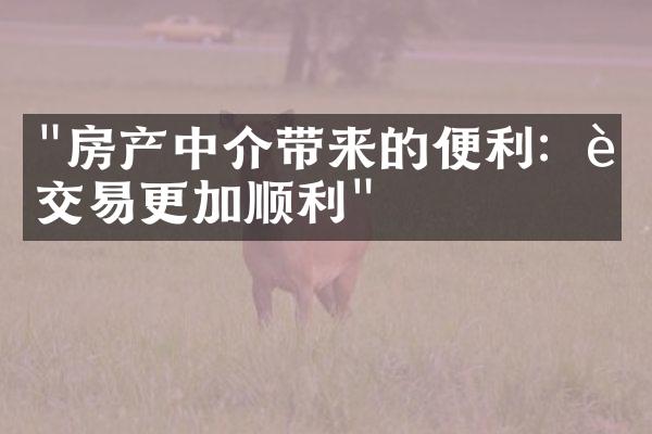 "房产中介带来的便利：让交易更加顺利"