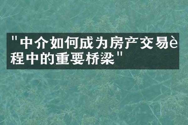 "中介如何成为房产交易过程中的重要桥梁"