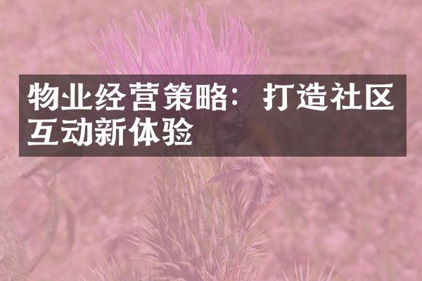 物业经营策略：打造社区互动新体验