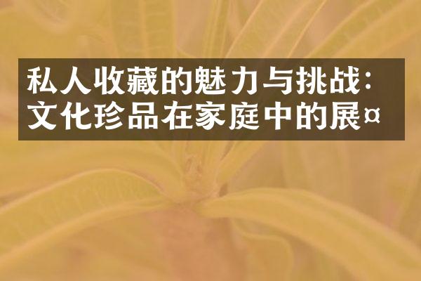 私人收藏的魅力与挑战：文化珍品在家庭中的展示