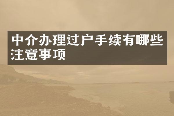 中介办理过户手续有哪些注意事项