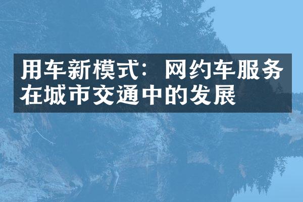 用车新模式：网约车服务在城市交通中的发展