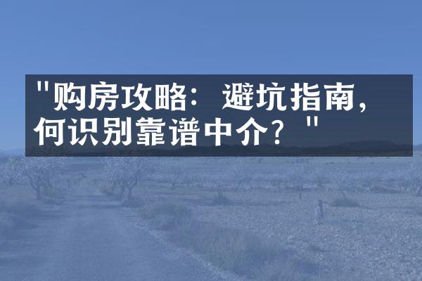 "购房攻略：避坑指南，如何识别靠谱中介？"