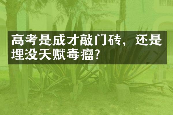 高考是成才敲门砖，还是埋没天赋毒瘤？