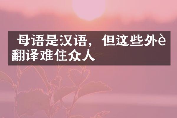  母语是汉语，但这些外语翻译难住众人