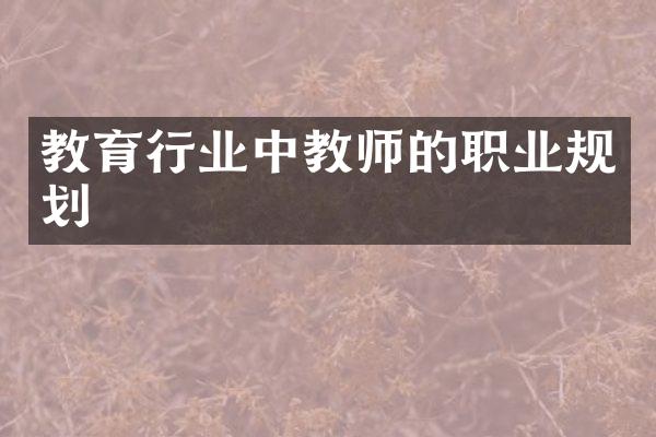 教育行业中教师的职业规划