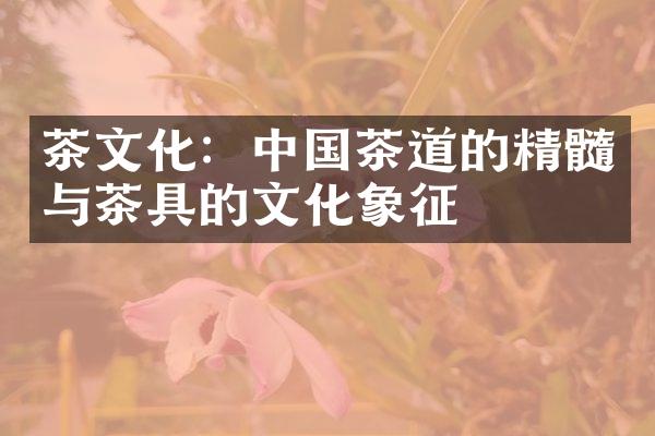 茶文化：中国茶道的精髓与茶具的文化象征