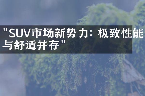 "SUV市场新势力: 极致性能与舒适并存"