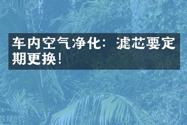 车内空气净化：滤芯要定期更换！