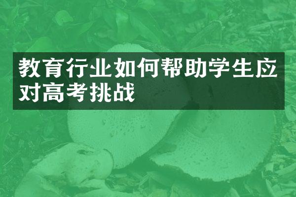 教育行业如何帮助学生应对高考挑战