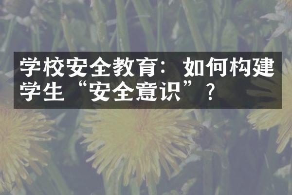 学校安全教育：如何构建学生“安全意识”？