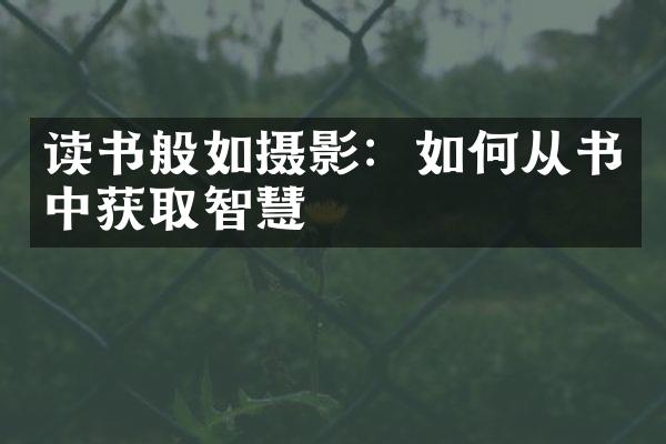 读书般如摄影：如何从书中获取智慧