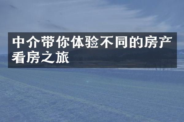 中介带你体验不同的房产看房之旅