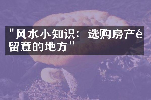 "风水小知识：选购房产需留意的地方"