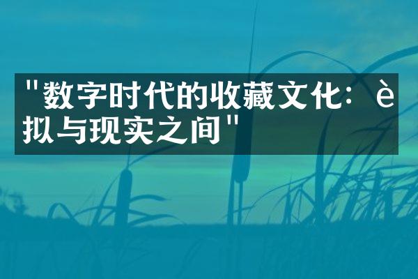 "数字时代的收藏文化：虚拟与现实之间"