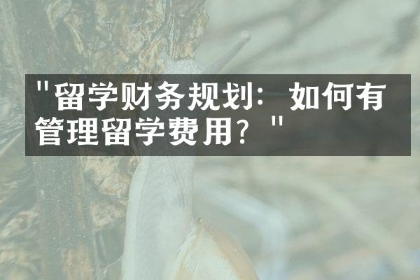 "留学财务规划：如何有效管理留学费用？"